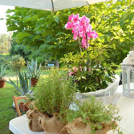 Bed and Breakfast Bed & Tours Dimora Di Campagna à Castelnuovo Belbo Extérieur photo