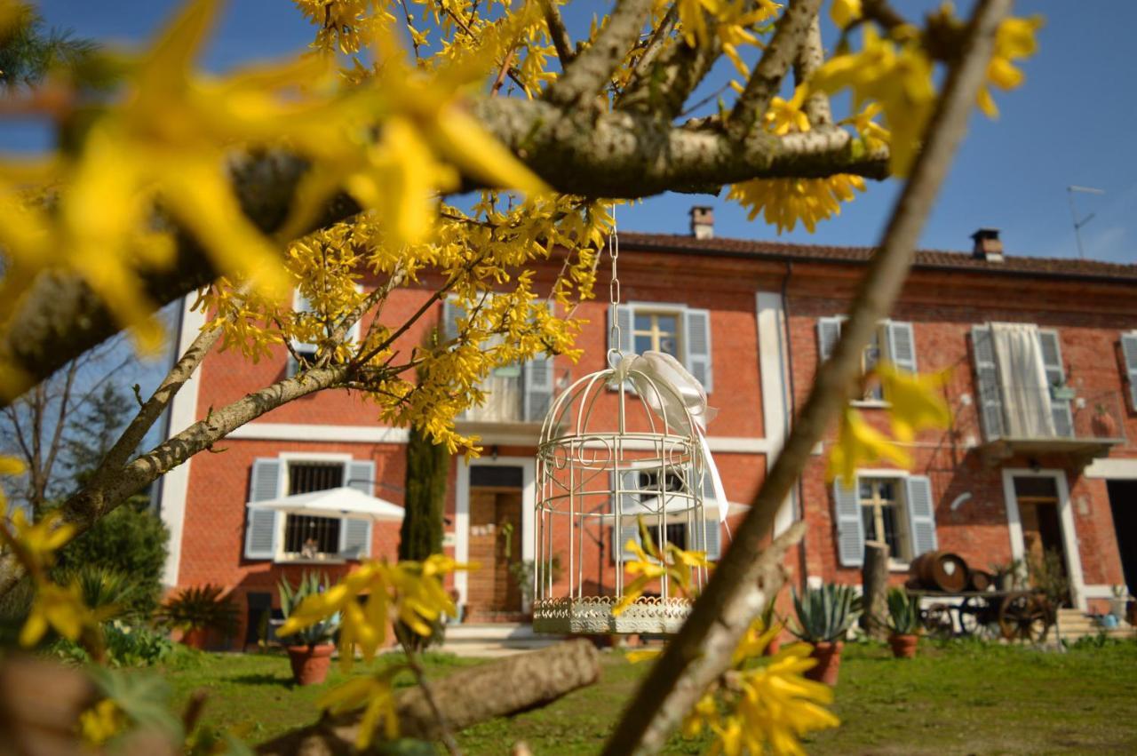 Bed and Breakfast Bed & Tours Dimora Di Campagna à Castelnuovo Belbo Extérieur photo